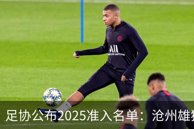 足协公布2025准入名单：沧州雄狮、广州队无缘